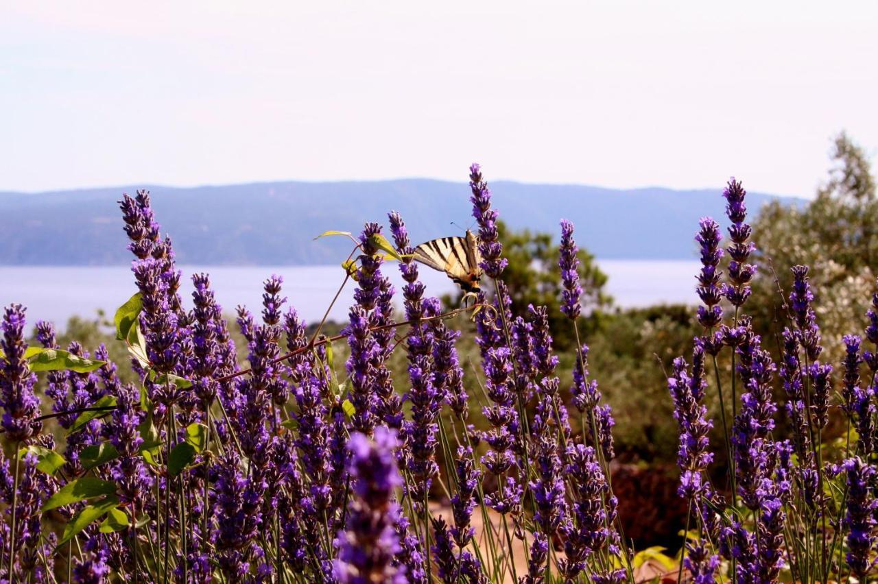 Boutique B&B Agroturizam Sv. Juraj Vrh  Dış mekan fotoğraf